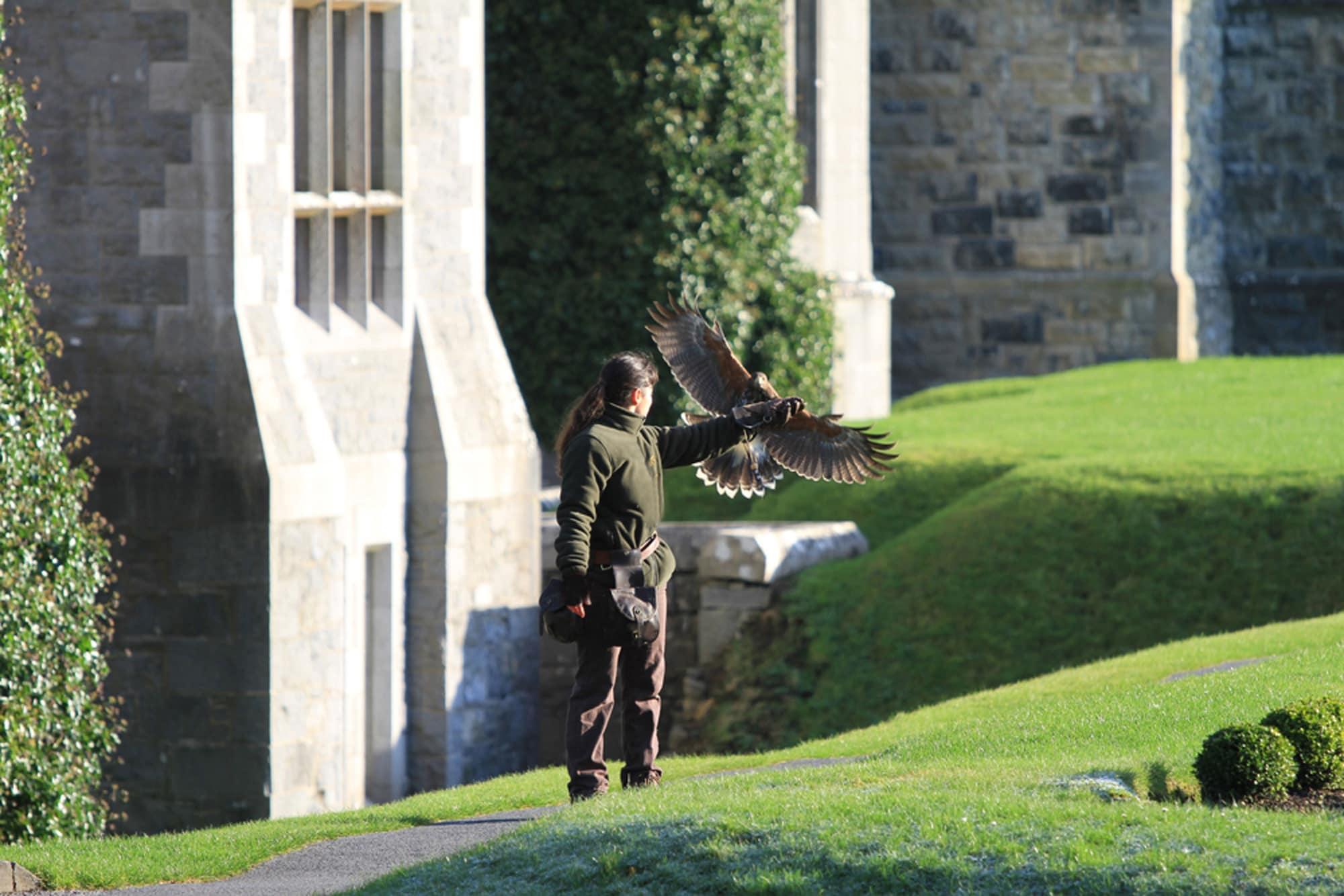 ホテル Ashford Castle コング エクステリア 写真